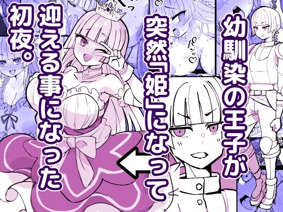 幼馴染の王子が突然「姫」になって迎える事になった初夜。 アイキャッチ画像 【エロAVドコポン】
